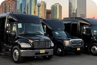 Standard charter buses lined up in an urban setting