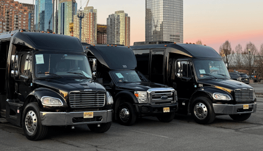 Charter Buses (30-40 passengers)